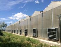 溫室大棚墻體建造過程中注意事項(xiàng)